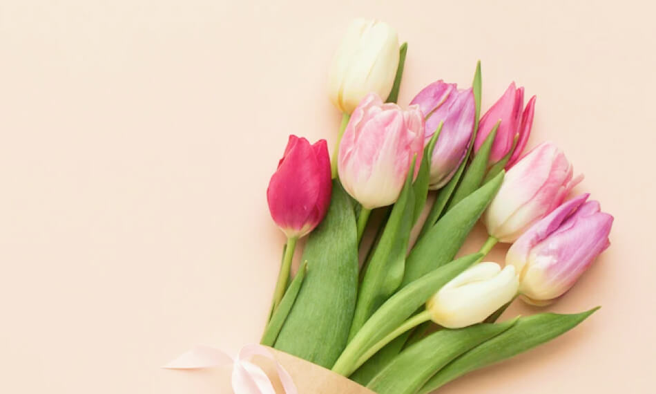 h4-services h4-services